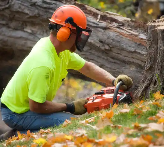 tree services Misenheimer